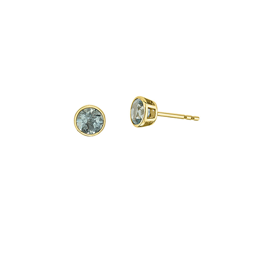 Genuine Aquamarine Birthstone Earrings (39905)