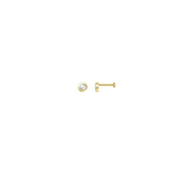 Diamond Mini Bezel Set Stud Earrings .02ct (39179)