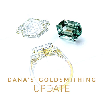 Dana's Goldsmithing UPDATE