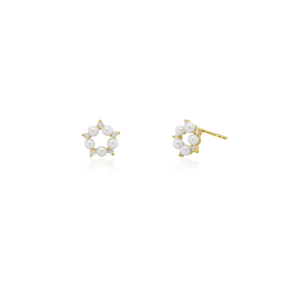 Gold Fresh Water Pearl and Cubic Zirconia Stud Earrings (41040)