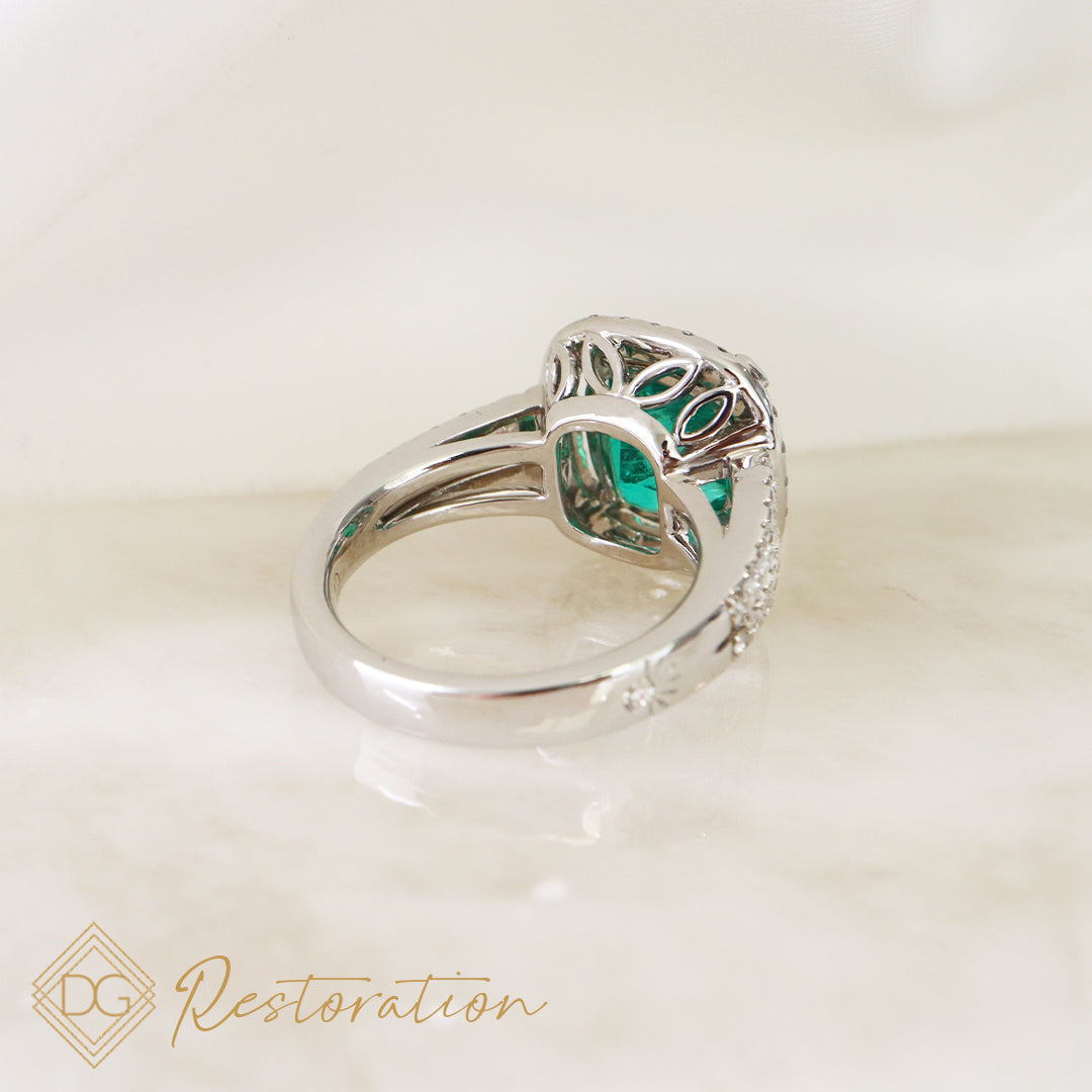 Polished Renewal