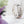 Memory Garden
