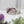 Memory Garden