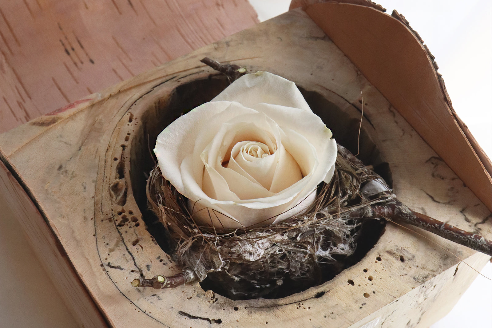 Nature of Love