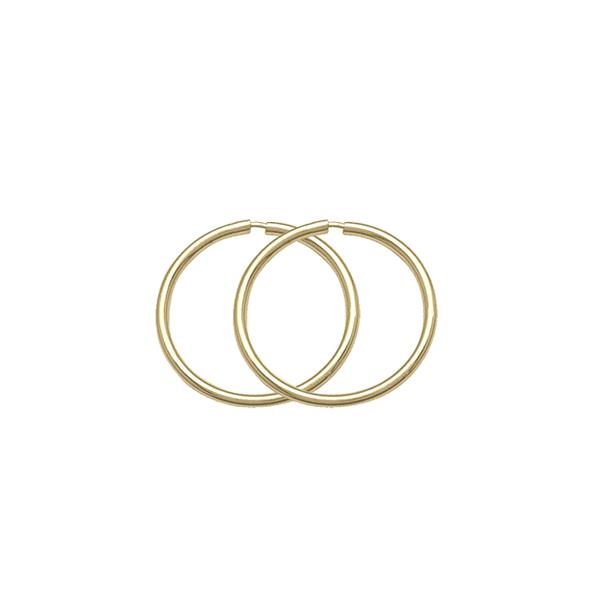 Gold Keeper Earrings